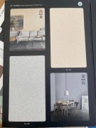 2021秦森新型墙体涂料